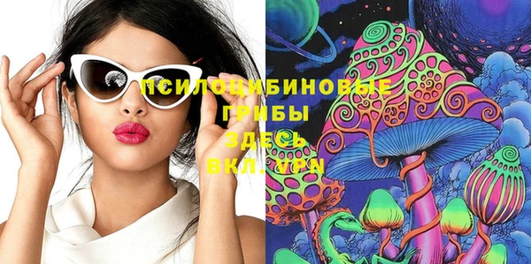 гашик Алексеевка