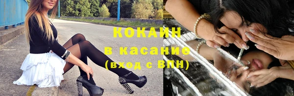 гашик Алексеевка