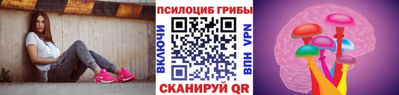Псилоцибиновые грибы MAGIC MUSHROOMS  наркота  Краснообск 